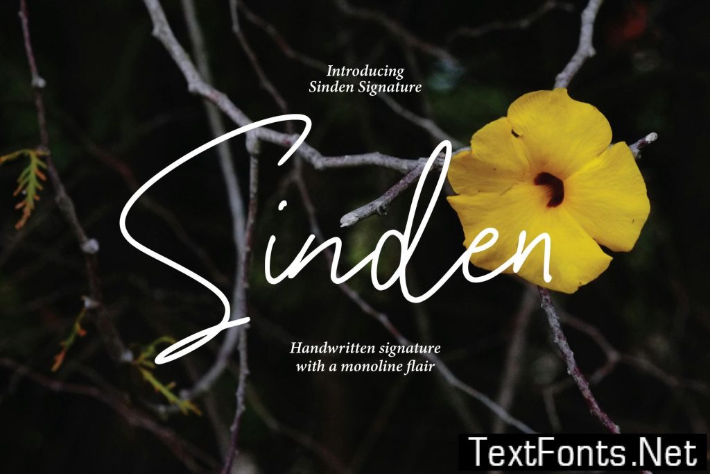 Sinden – Casual Handwritten KY7W5VR