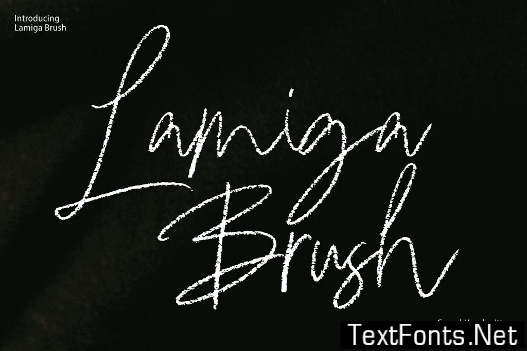 Lamiga – Signature Brush LQMUP9T