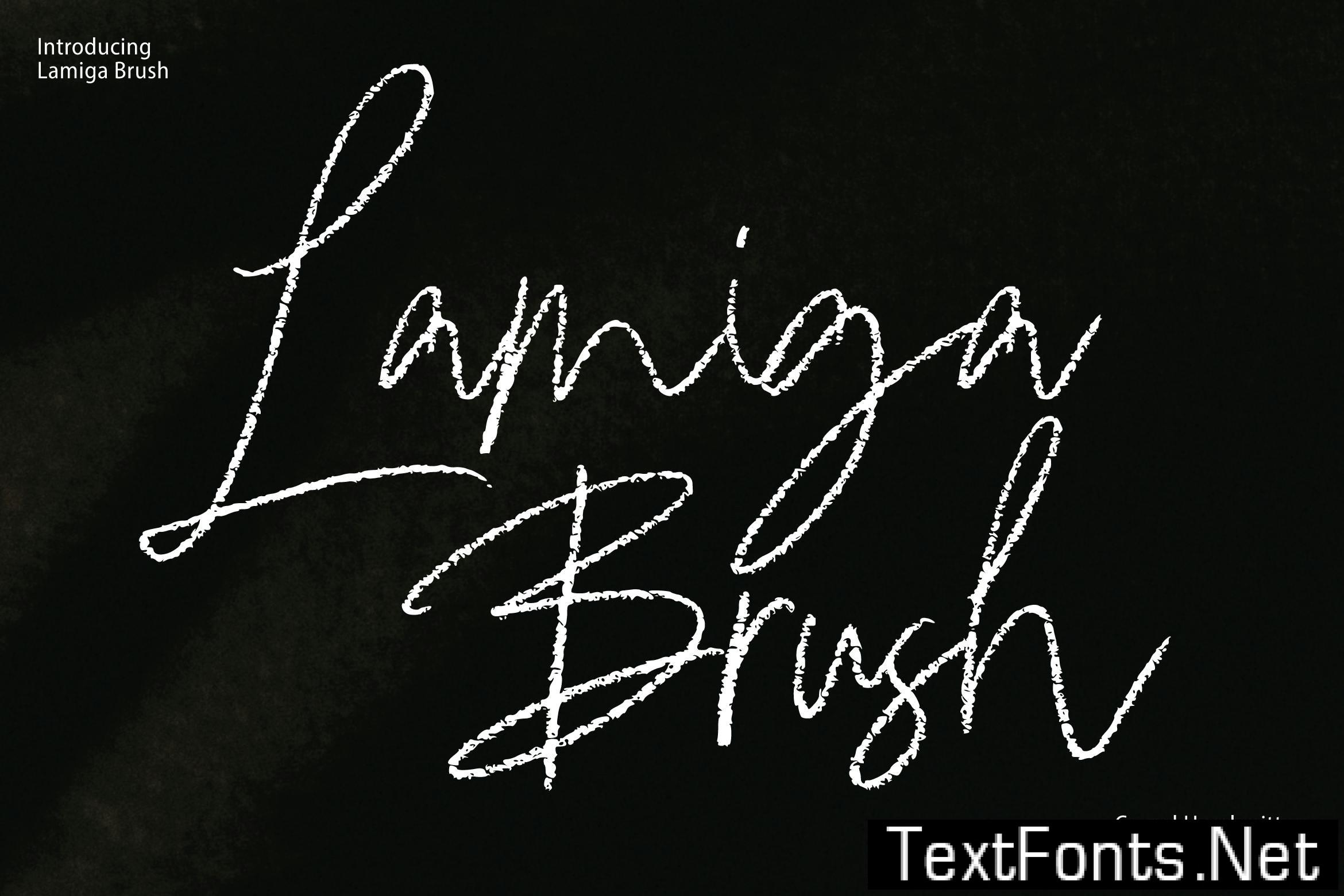 Lamiga – Signature Brush LQMUP9T