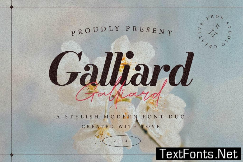 Galliard – Elegant Script Font Duo SSSS369