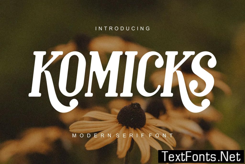 Komicks – Modern Serif Font VQ3B2HK