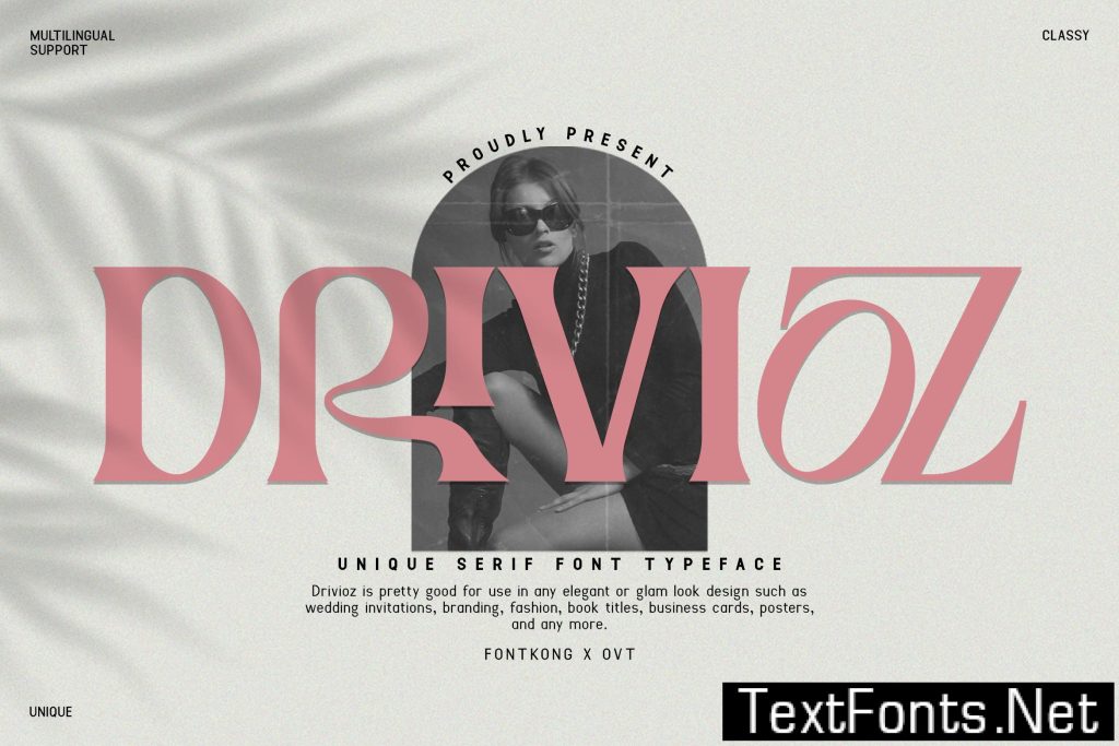 Drivioz – Unique Serif Typeface Font A6YCF53
