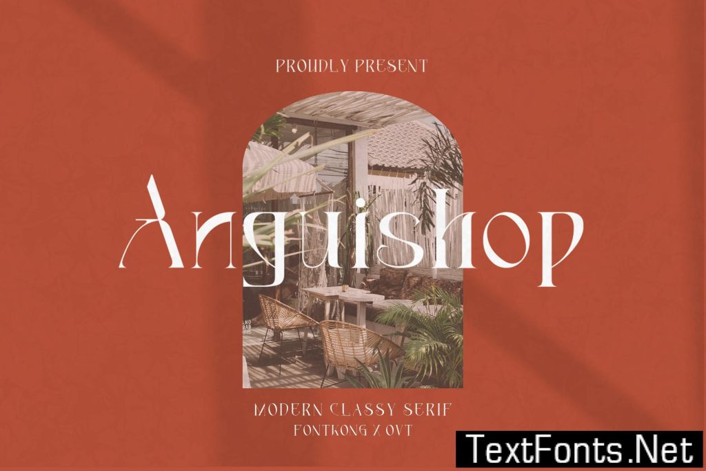 Anguishop – Modern Classy Serif Font 6CBLEYG