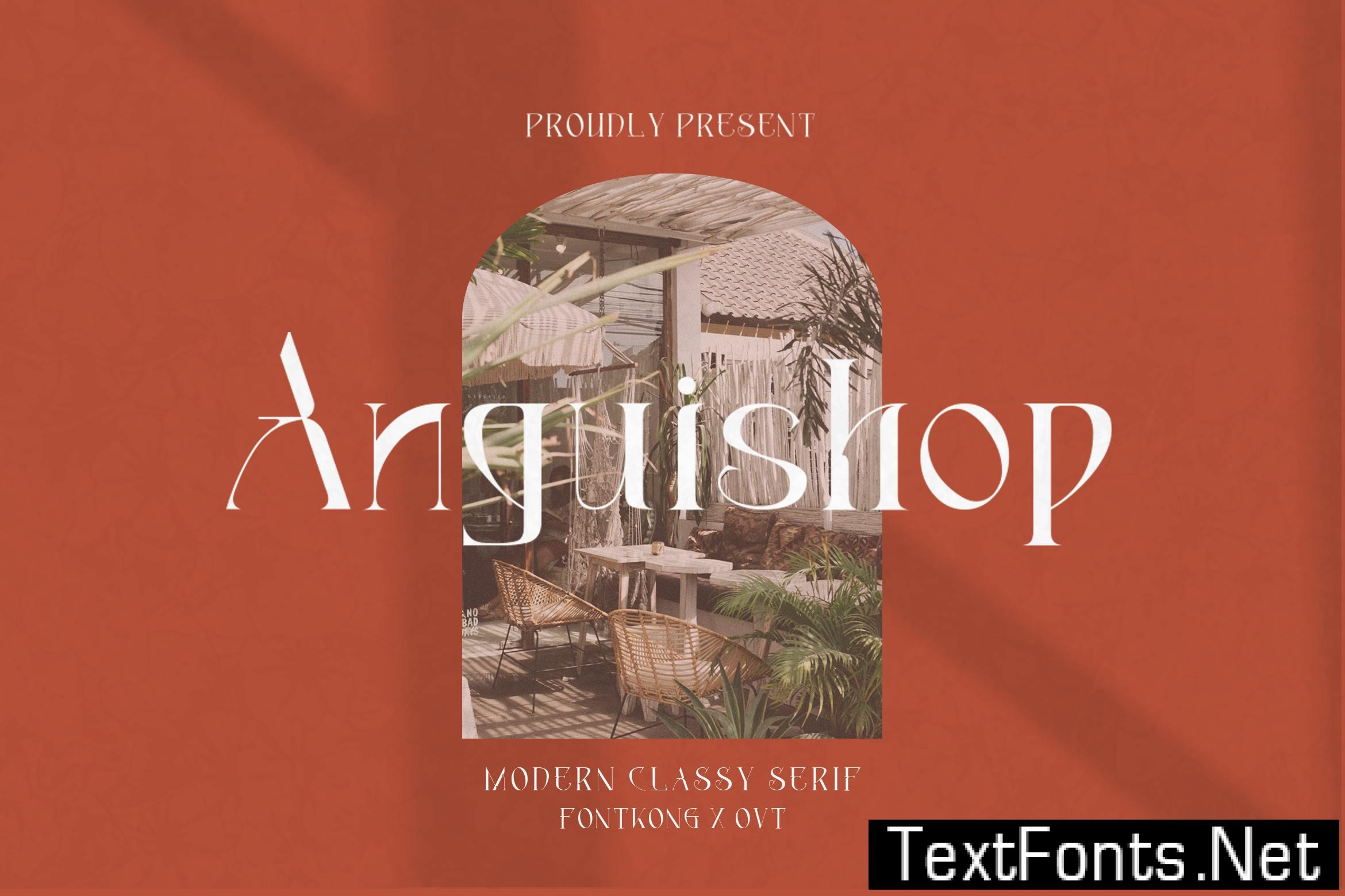 Anguishop – Modern Classy Serif Font 6CBLEYG