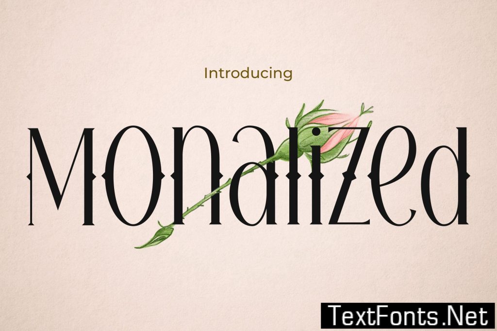Monalized – Modern Western Font WPT8ST6