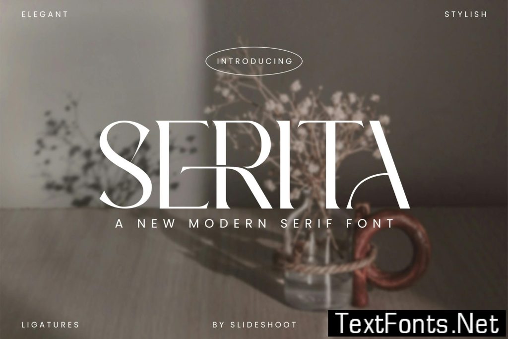 Serita Serif Font ASG524W