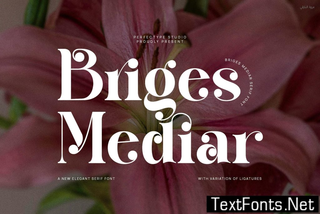 Briges Mediar Elegant Ligature Serif Font Typeface EPZV8QM