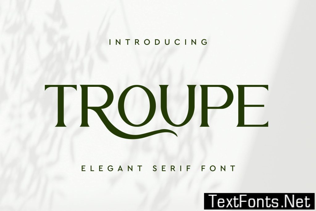 Troupe Serif Font H7SAUV3