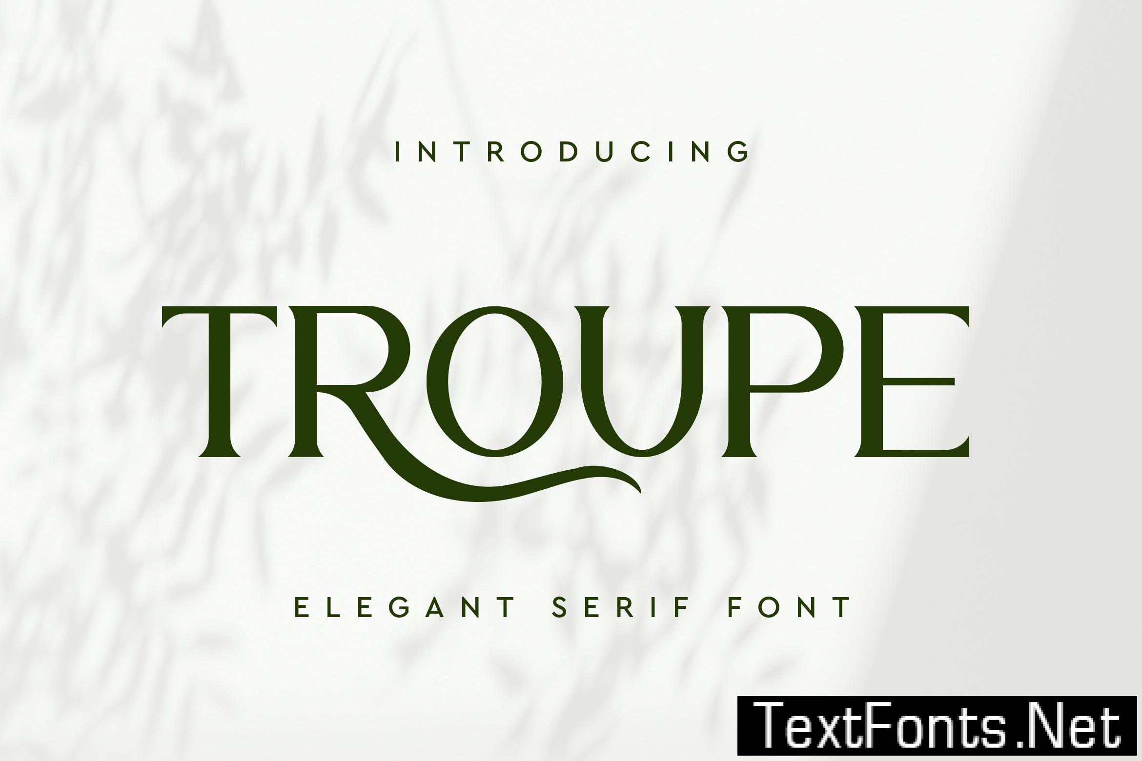 Troupe Serif Font H7SAUV3
