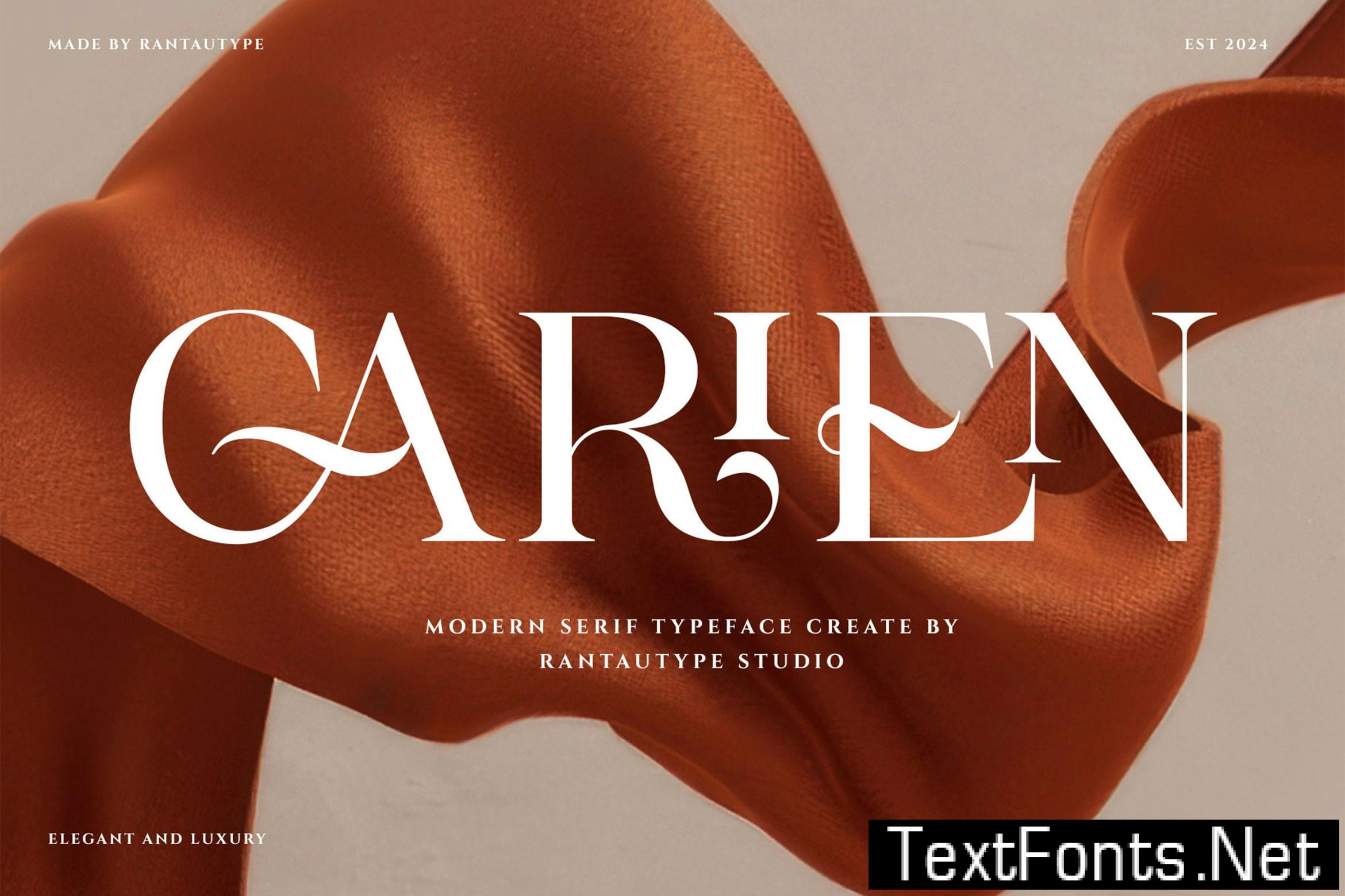 Carien A Modern Serif Font 49M5ZSR
