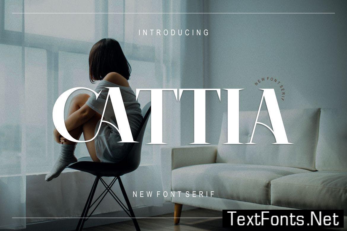 Cattia Font F4YVLAN