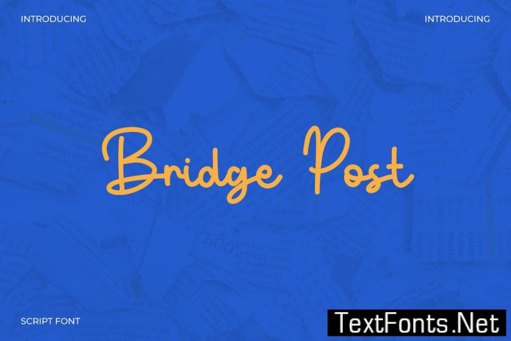 Bridge Post – Monoline Script Font PAPJ2FN