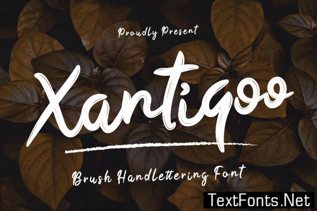 Xantiqoo – Brush Handwritten Font 7VE8YXM