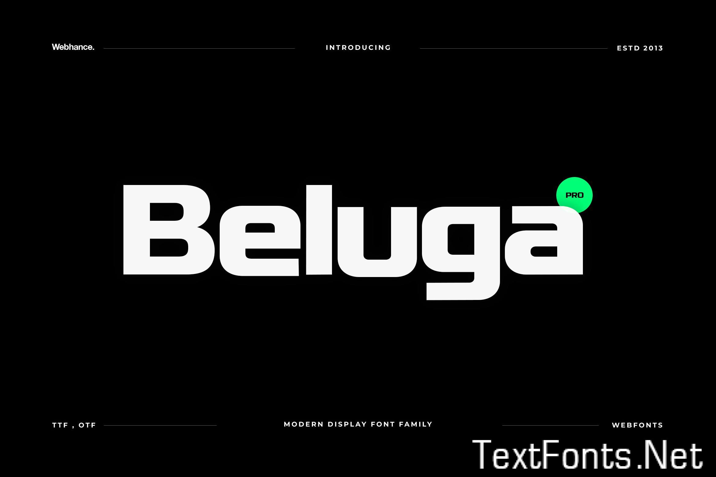 Beluga – Modern Sans-Serif Font family KL43P72