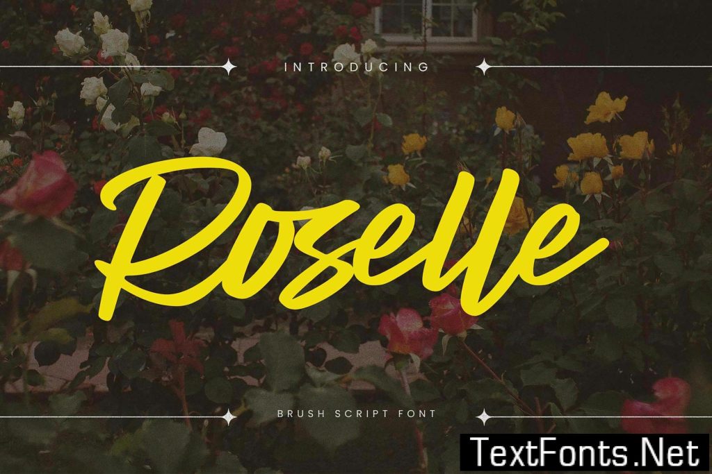 Roselle – Brush Script Font HF6286L