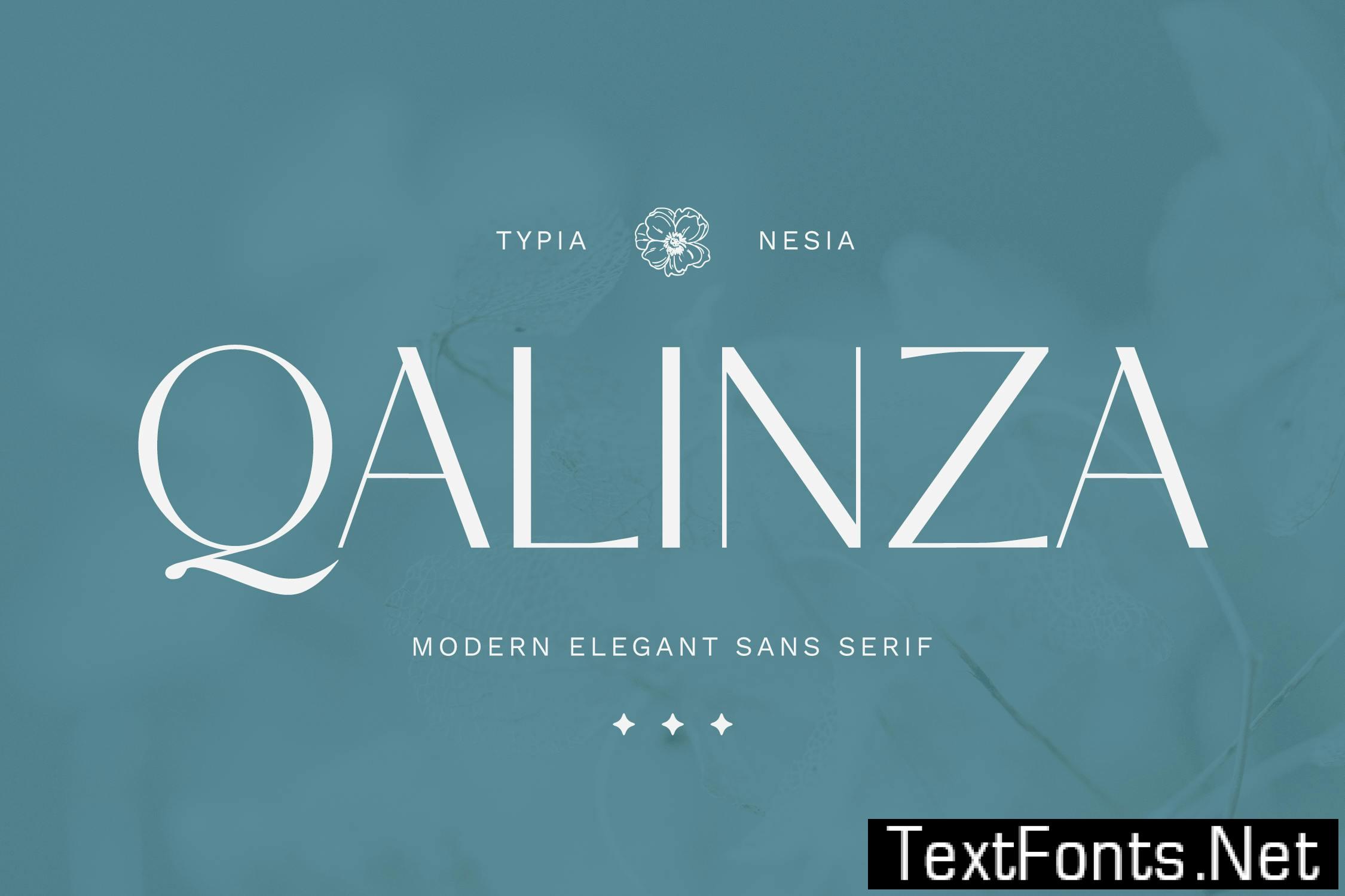 Qalinza – Modern Elegant Sans Serif Q4VV8MF