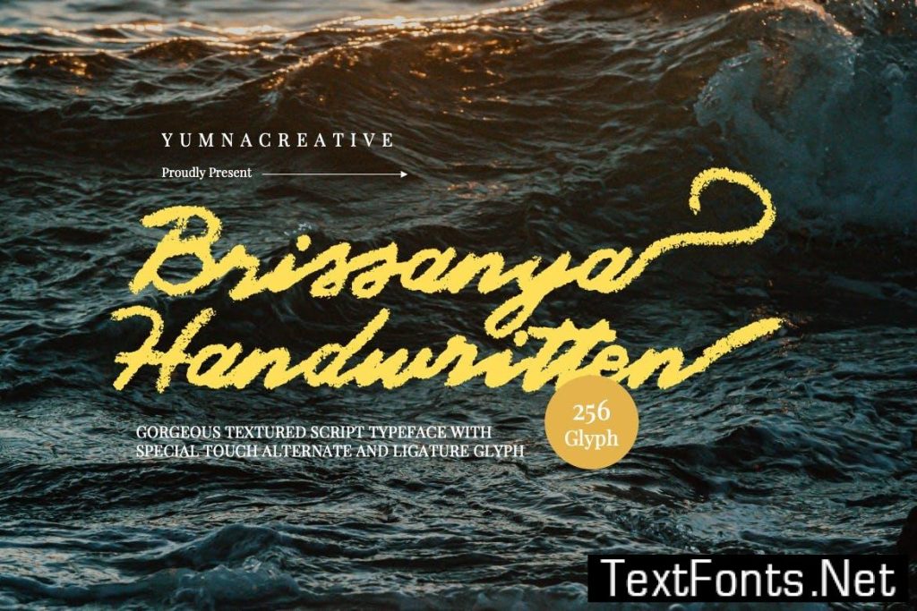 Brissanya – Textured Brush Font PALYKEQ