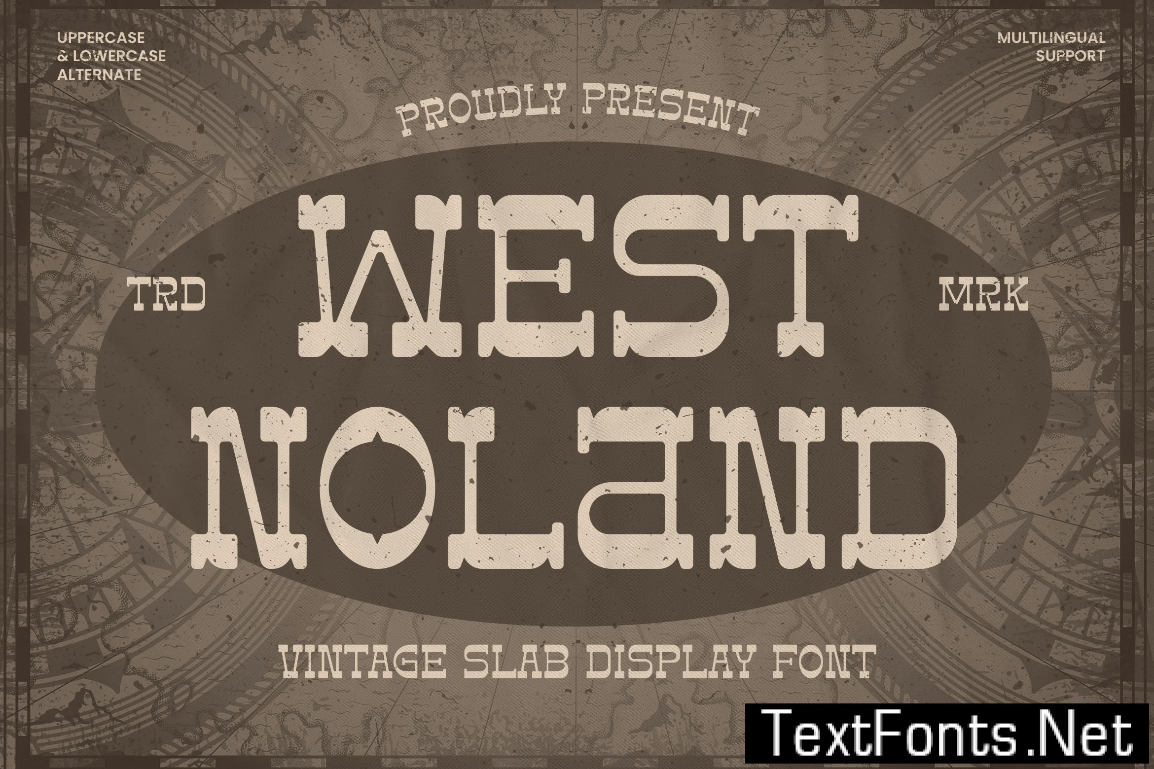 West Noland – Vintage Slab Font F8CZ5NP