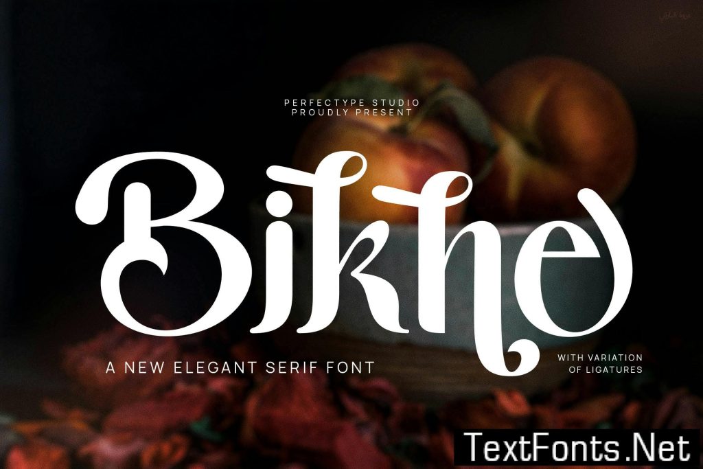 Bikne Elegant Serif Font Typeface EVDUKAR