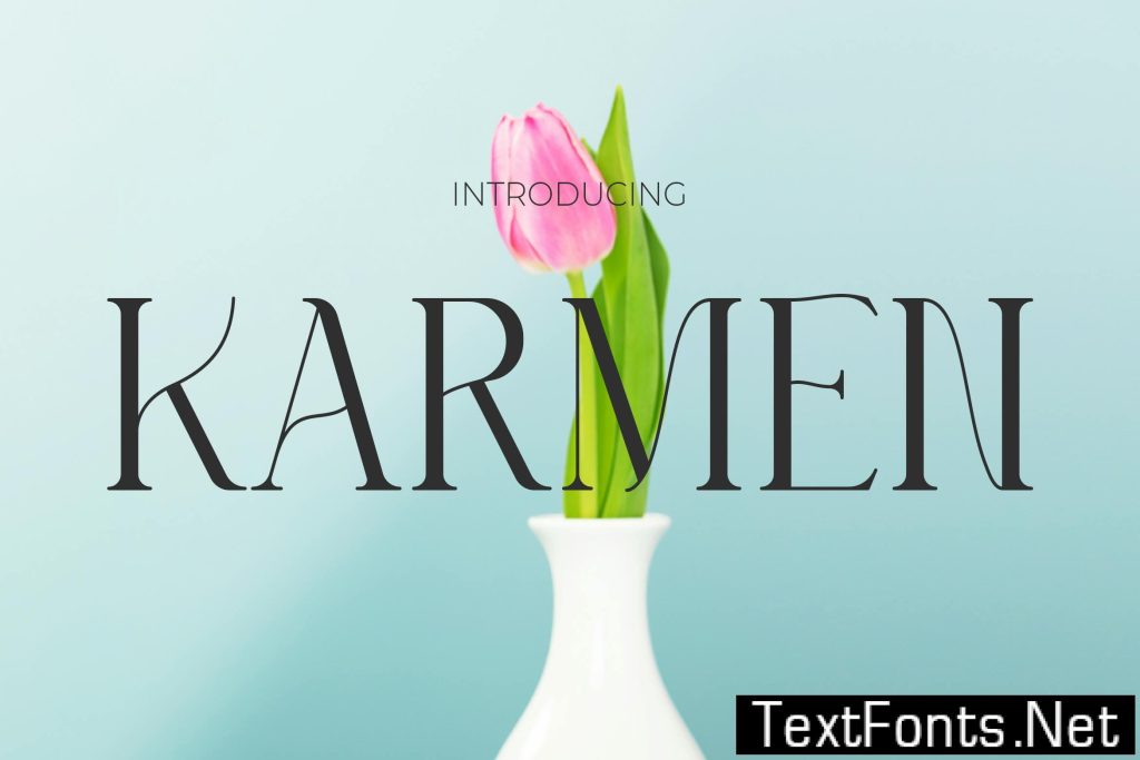 Karmen – Modern Elegance Font XAF9CAR