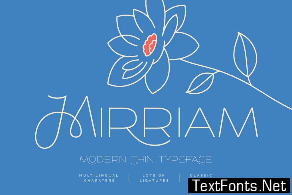 Mirriam — Modern Thin Typeface EL65QA2