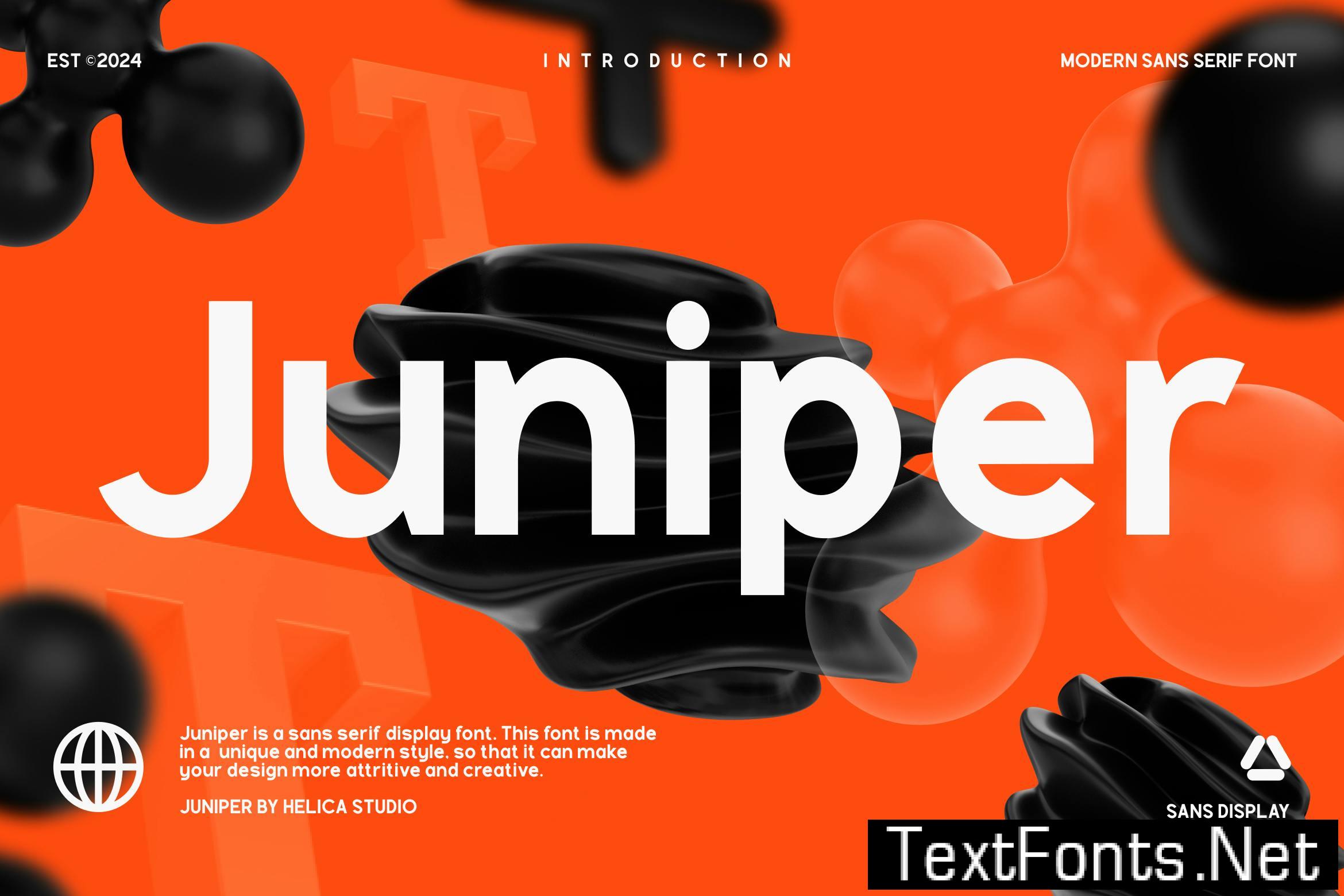 Juniper Modern Sans Display Font UCN3B5V