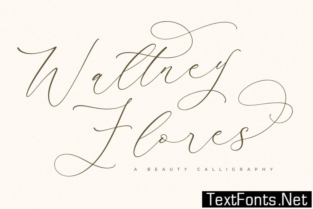 Waltney Flores Modern Calligraphy Font E8GFFJU