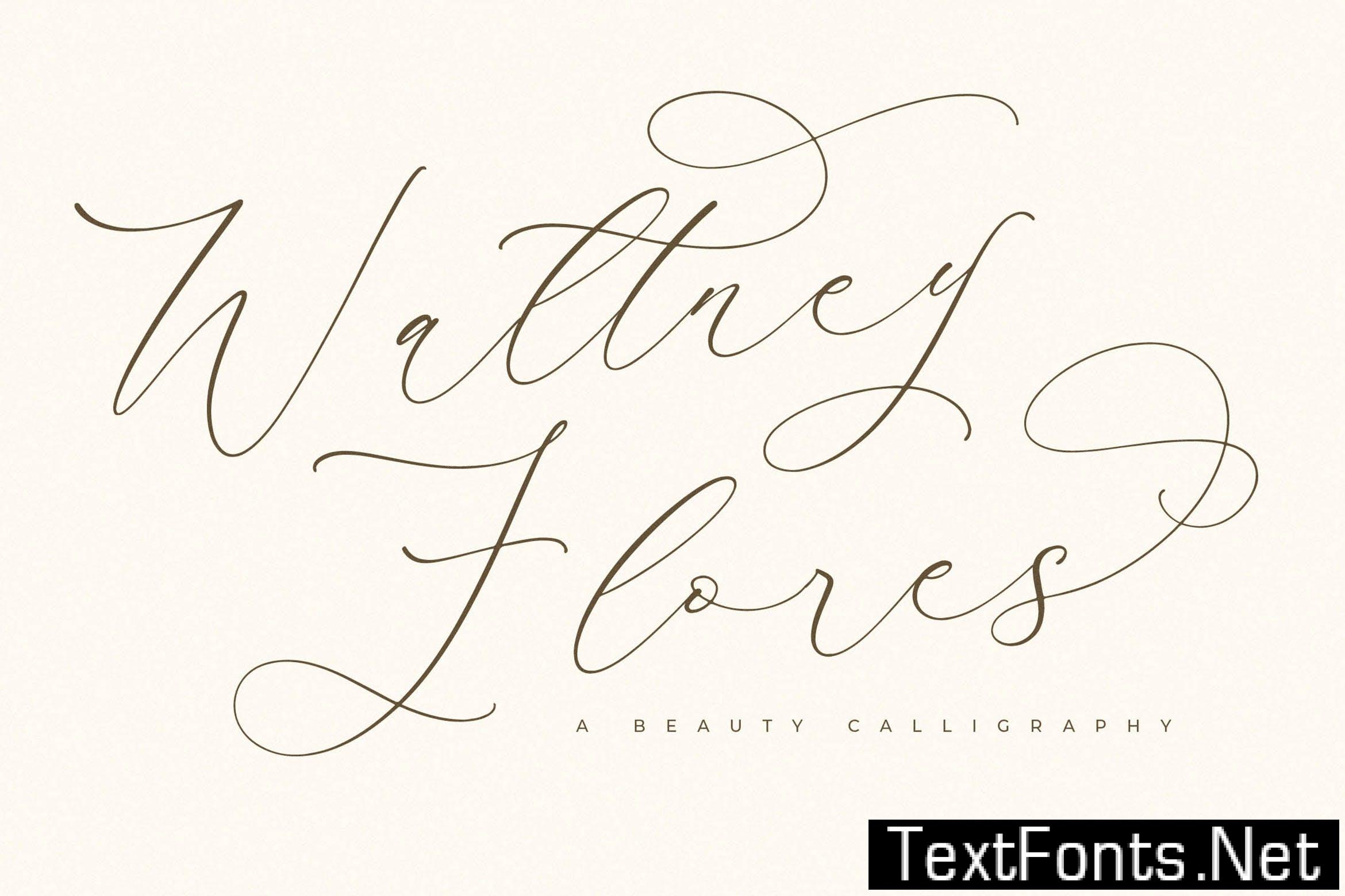 Waltney Flores Modern Calligraphy Font E8GFFJU