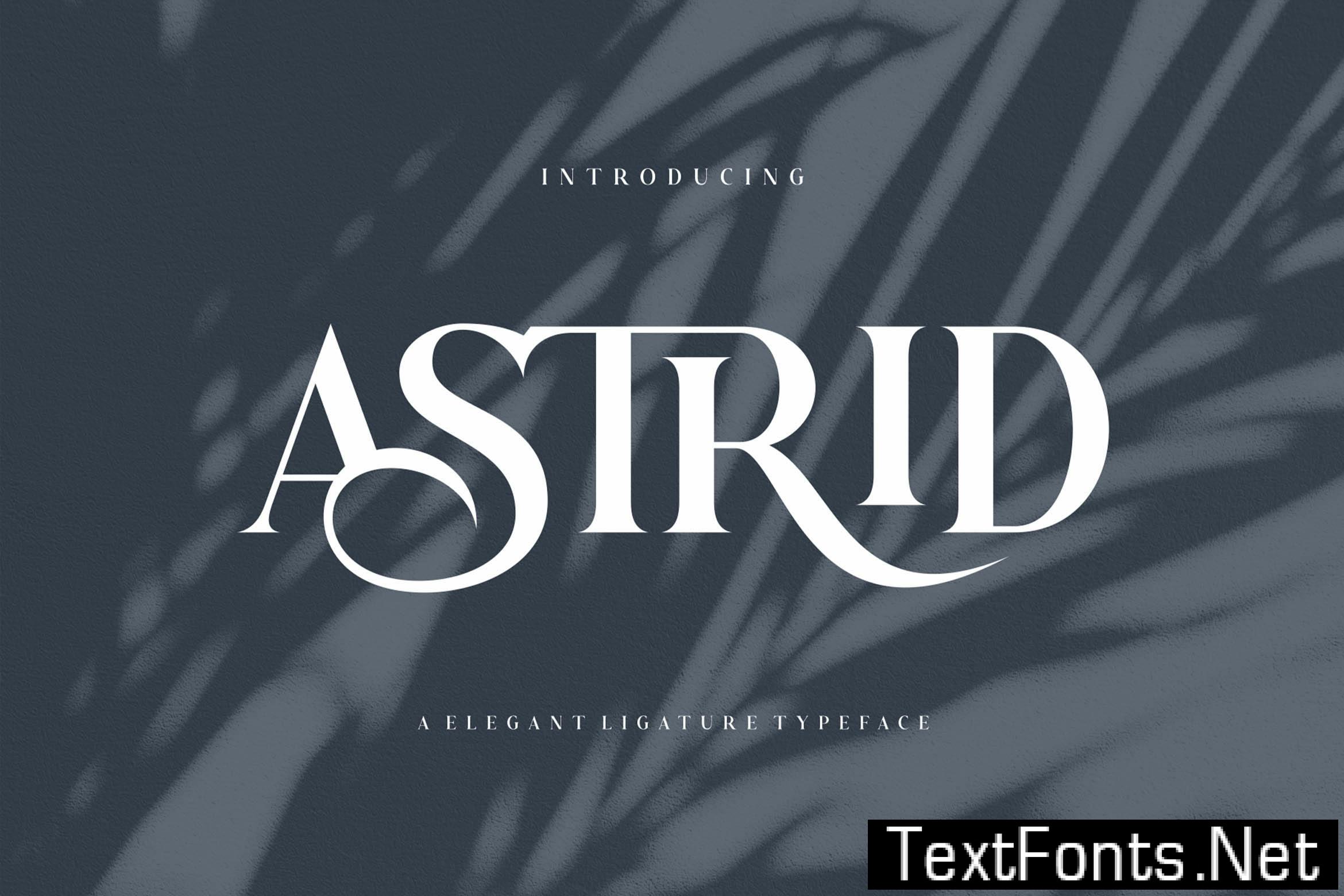 Astrid Elegant Ligature Typeface V9NKV6C