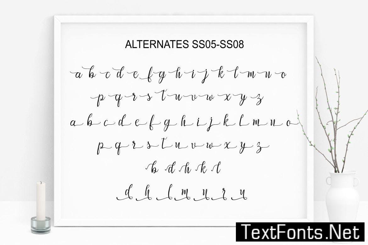 Afrile Script 3TKPKTZ