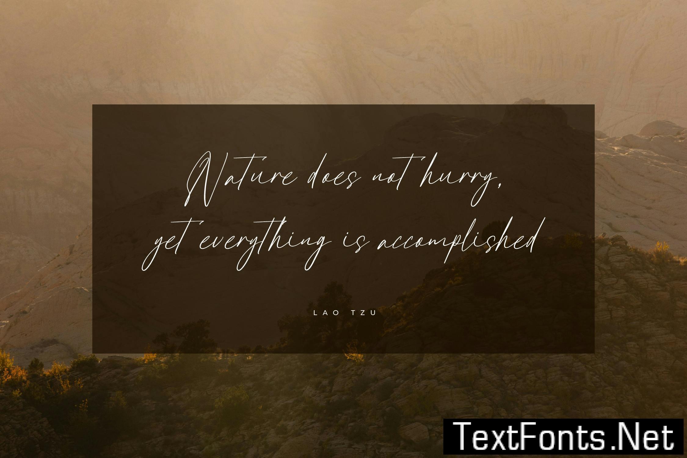 Antegrham Modern Signature Font R25DMVU
