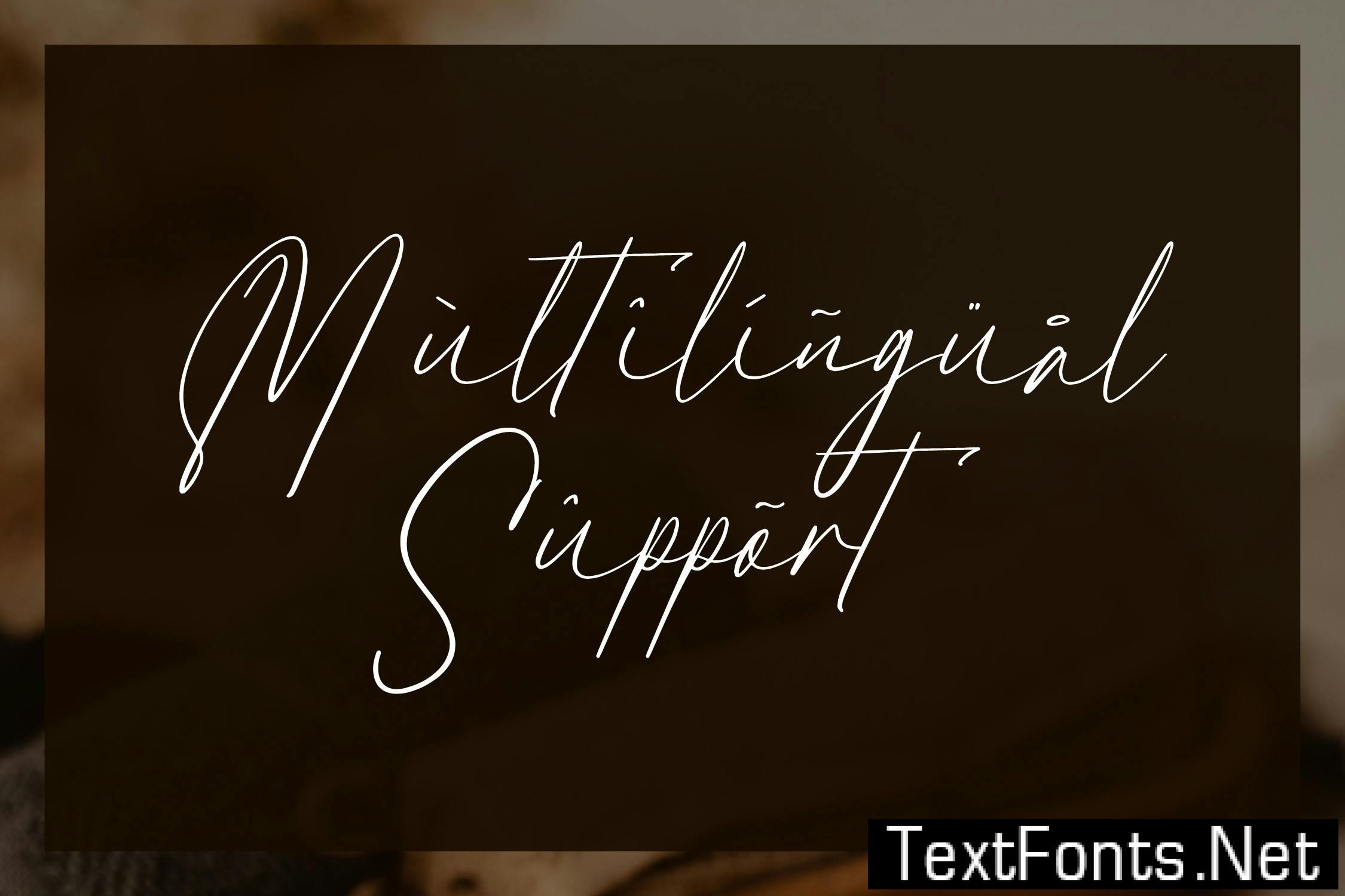 Antegrham Modern Signature Font R25DMVU