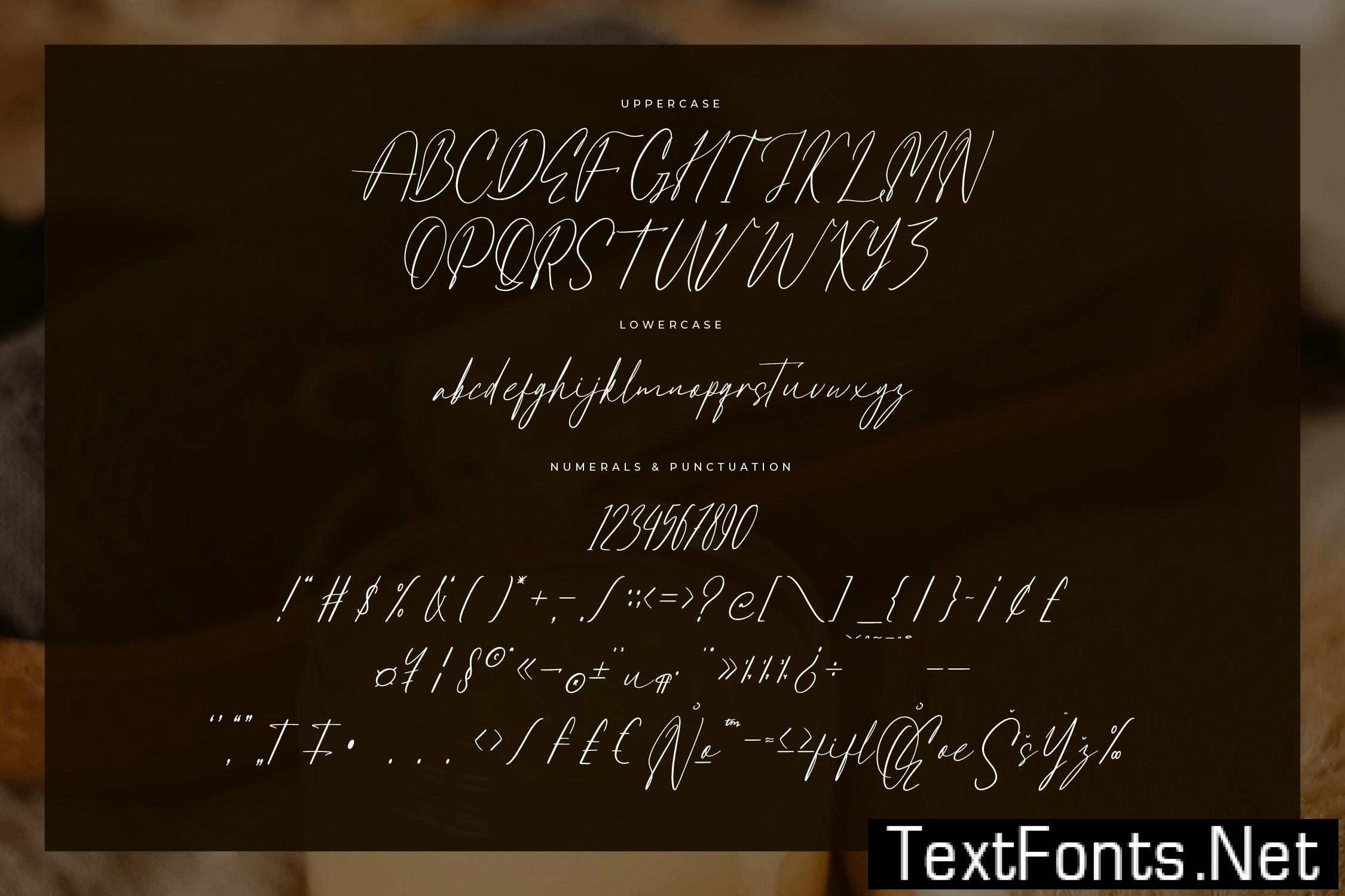 Antegrham Modern Signature Font R25DMVU
