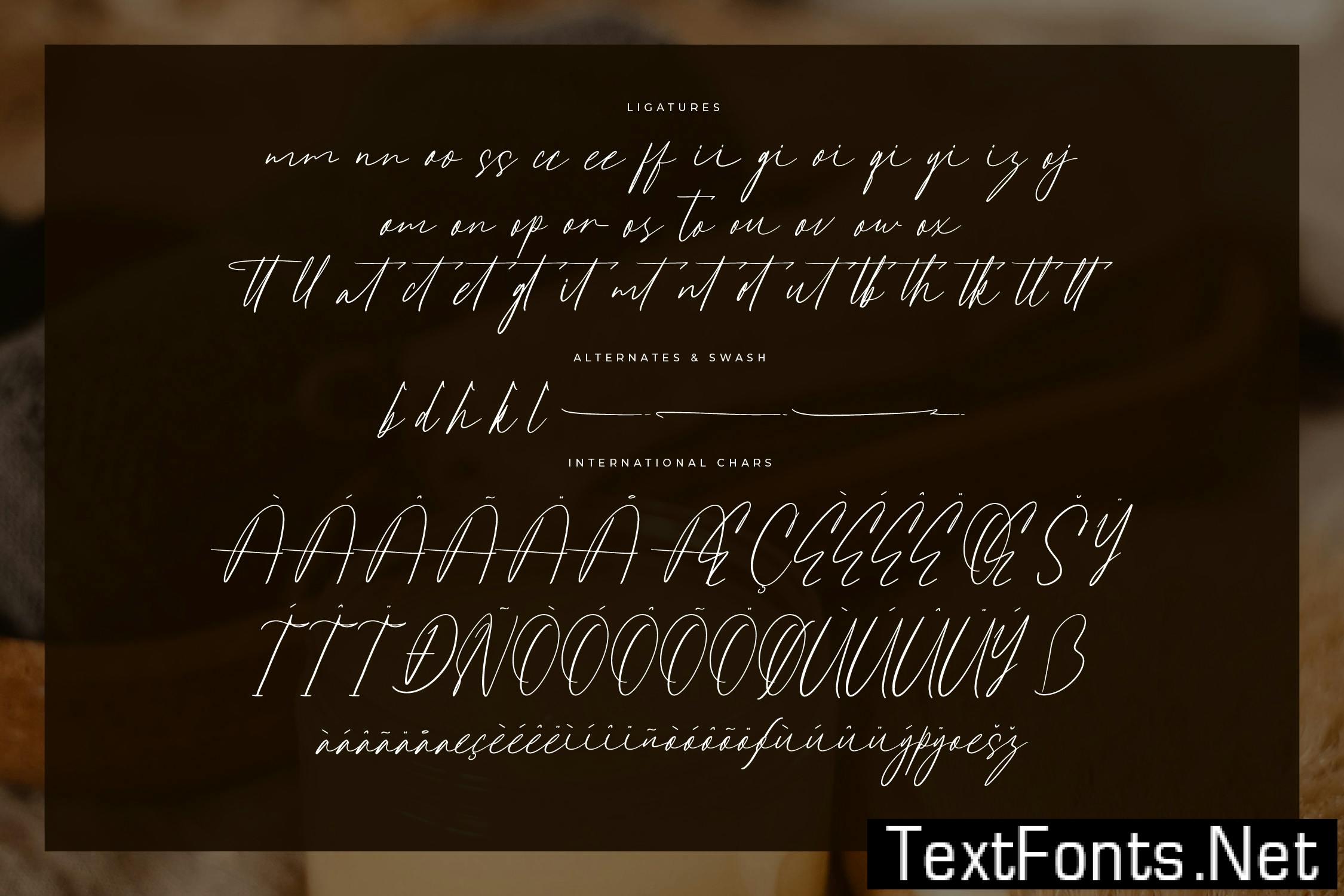 Antegrham Modern Signature Font R25DMVU