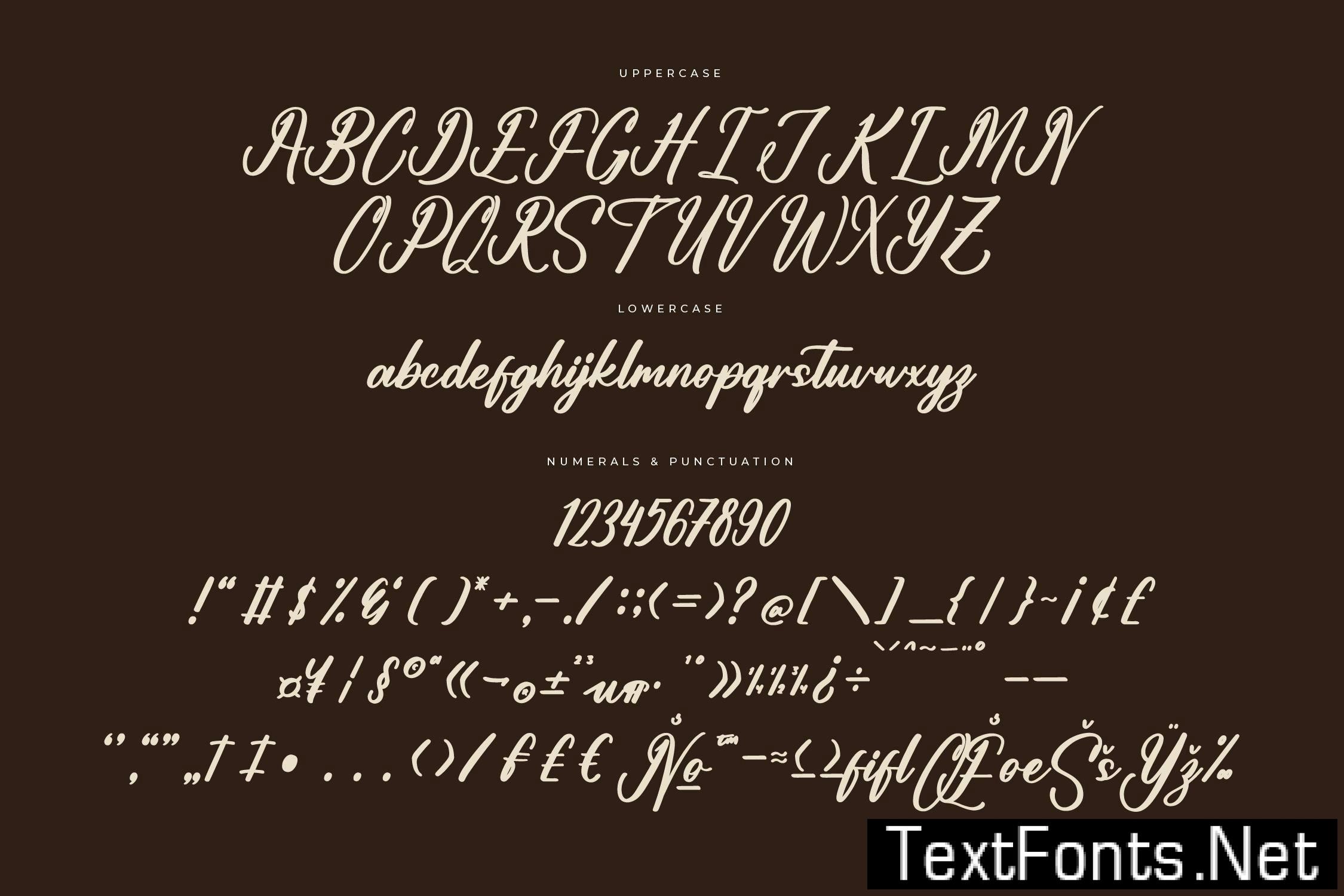 Antholia Riechgan Modern Bold Script NPYAPVE