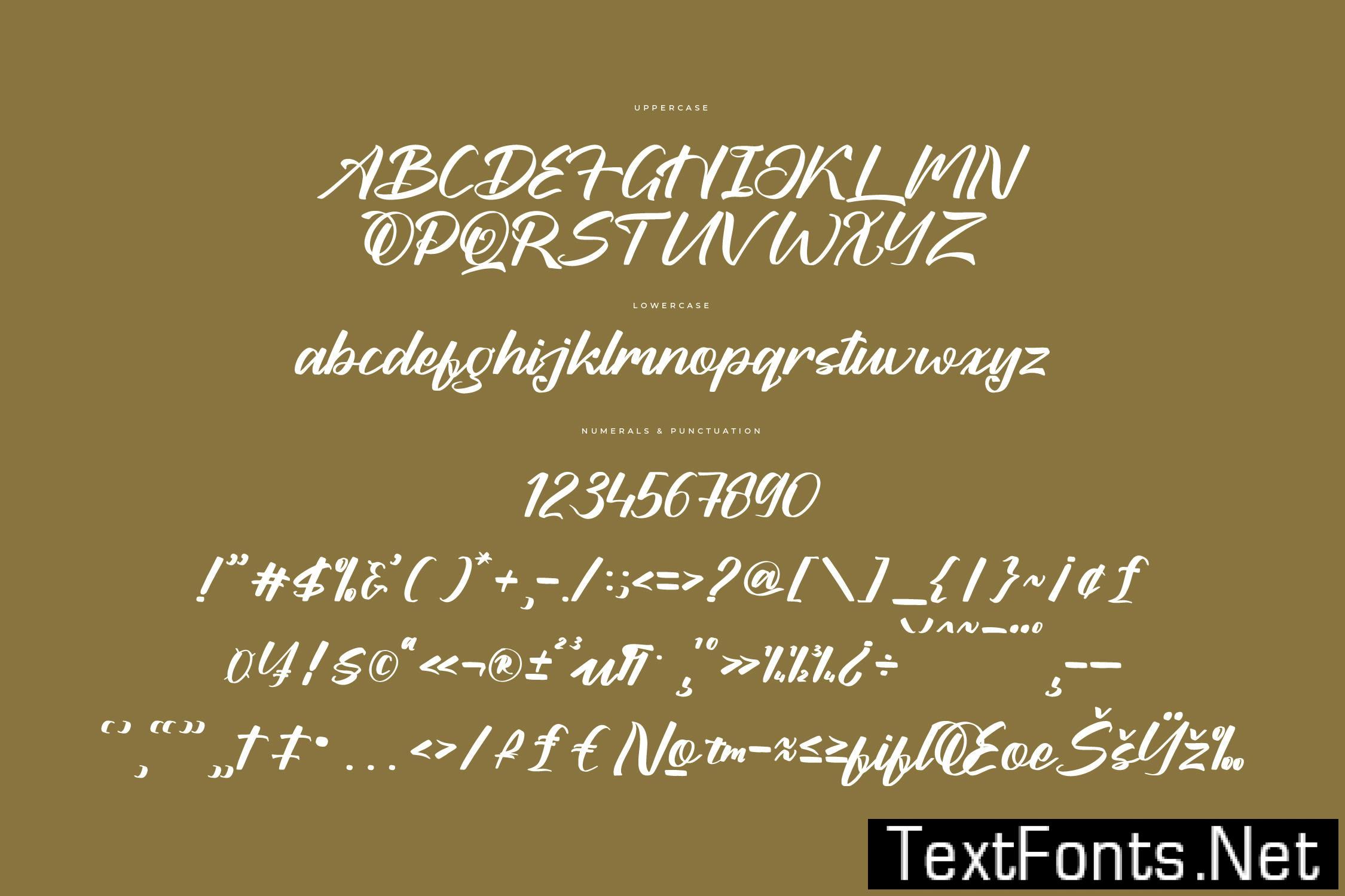 Brilians Akshend Modern Bold Script JUD7G82