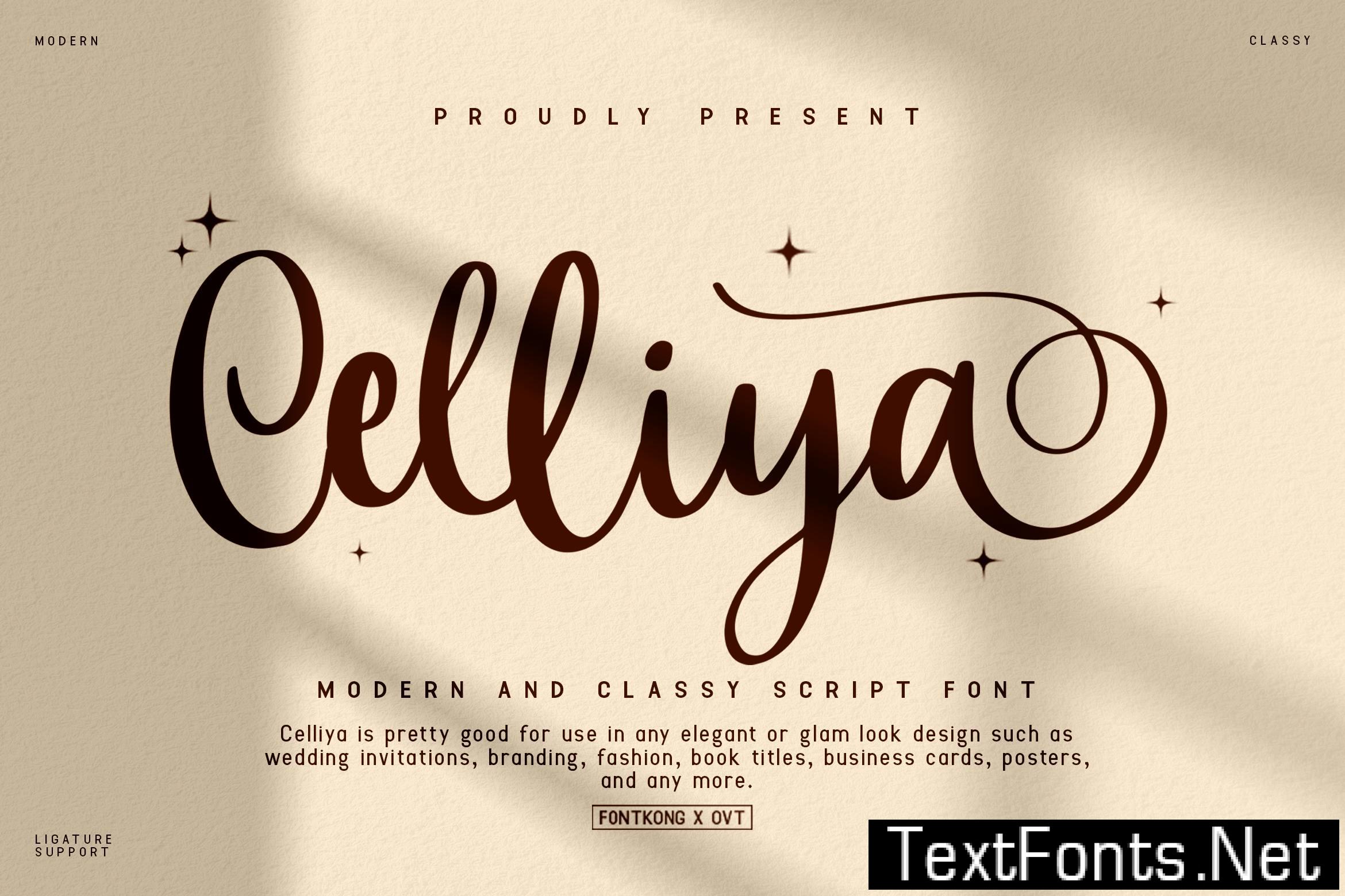 Celliya - Modern and Classy Script Font 4MSBRTB