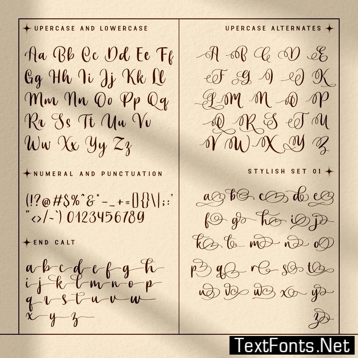 Celliya - Modern and Classy Script Font 4MSBRTB