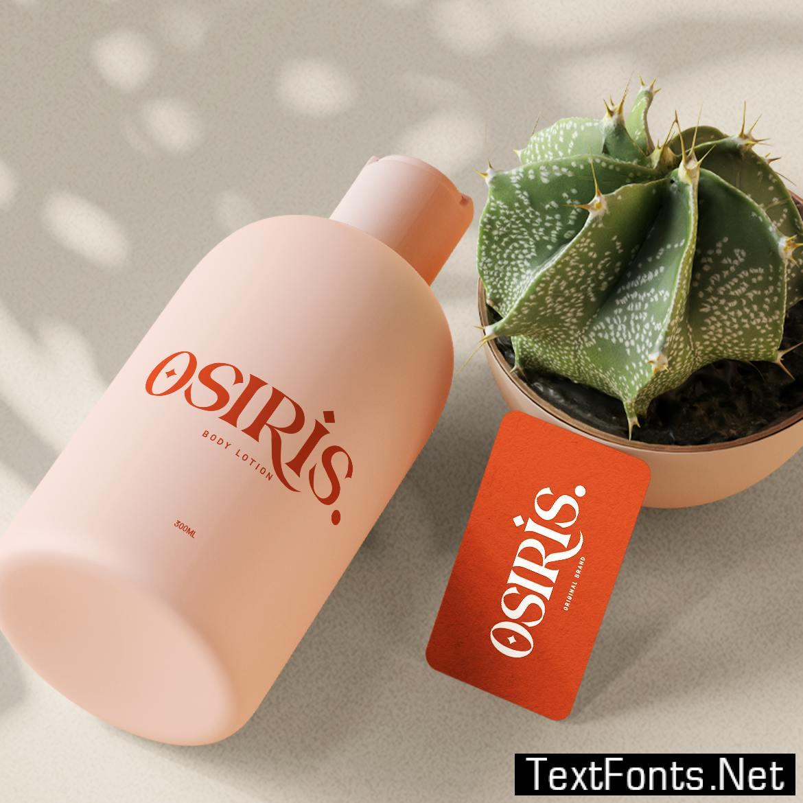 Clarissa - Modern Serif Typeface 4RWV2V9