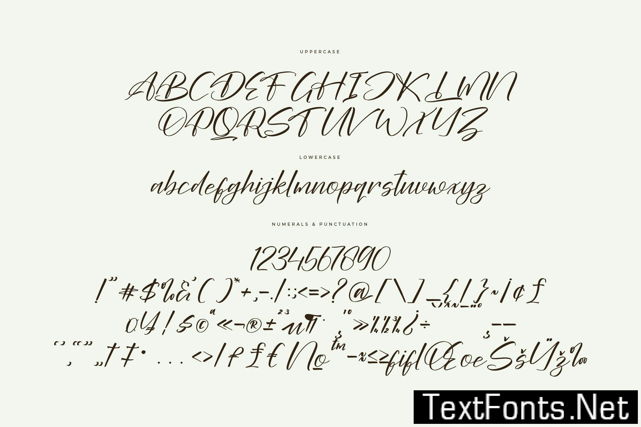 Dalinthy Modern Handwritten Font QRDEX33