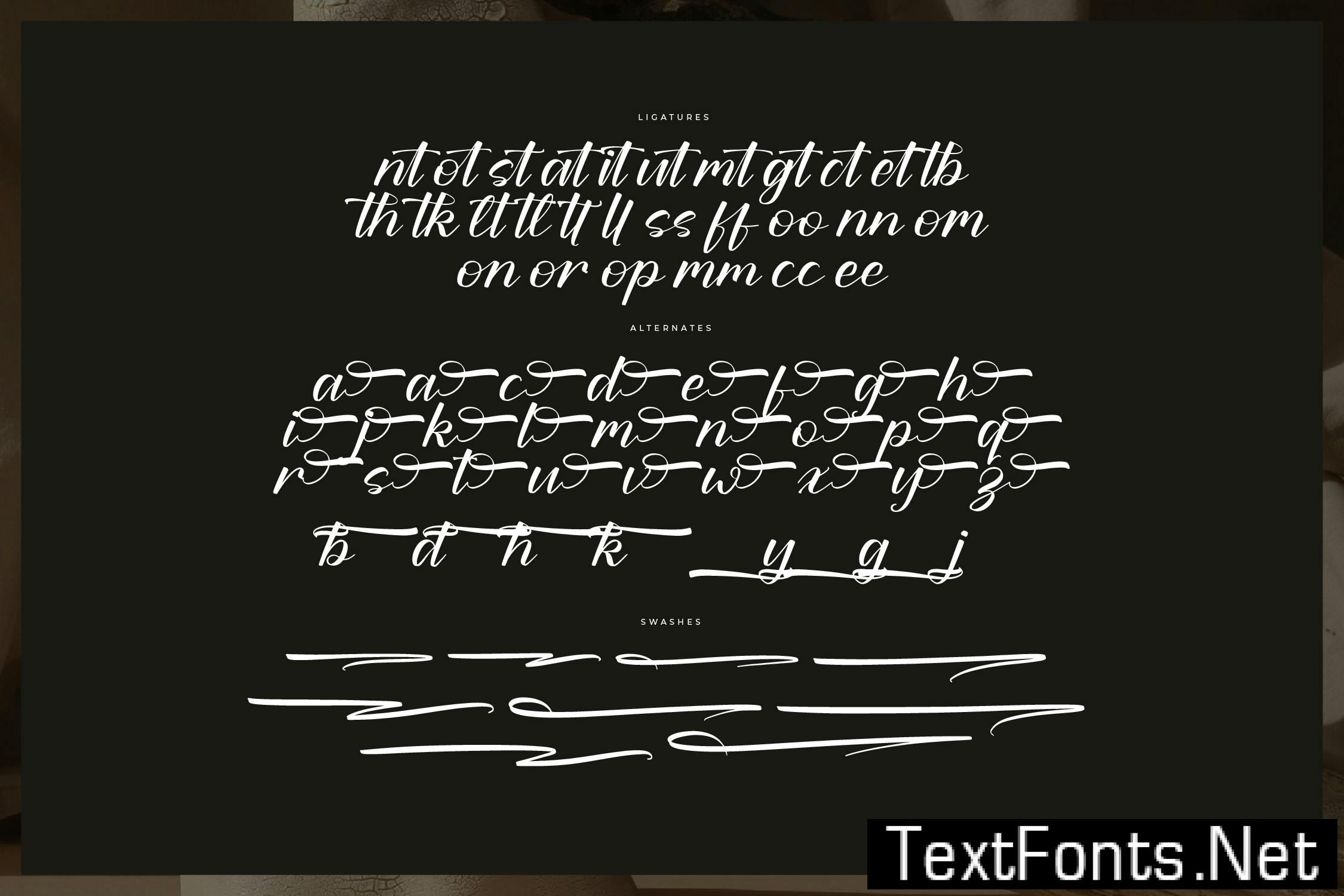Daltomy Fabiola Modern Bold Script 4R6PCBW