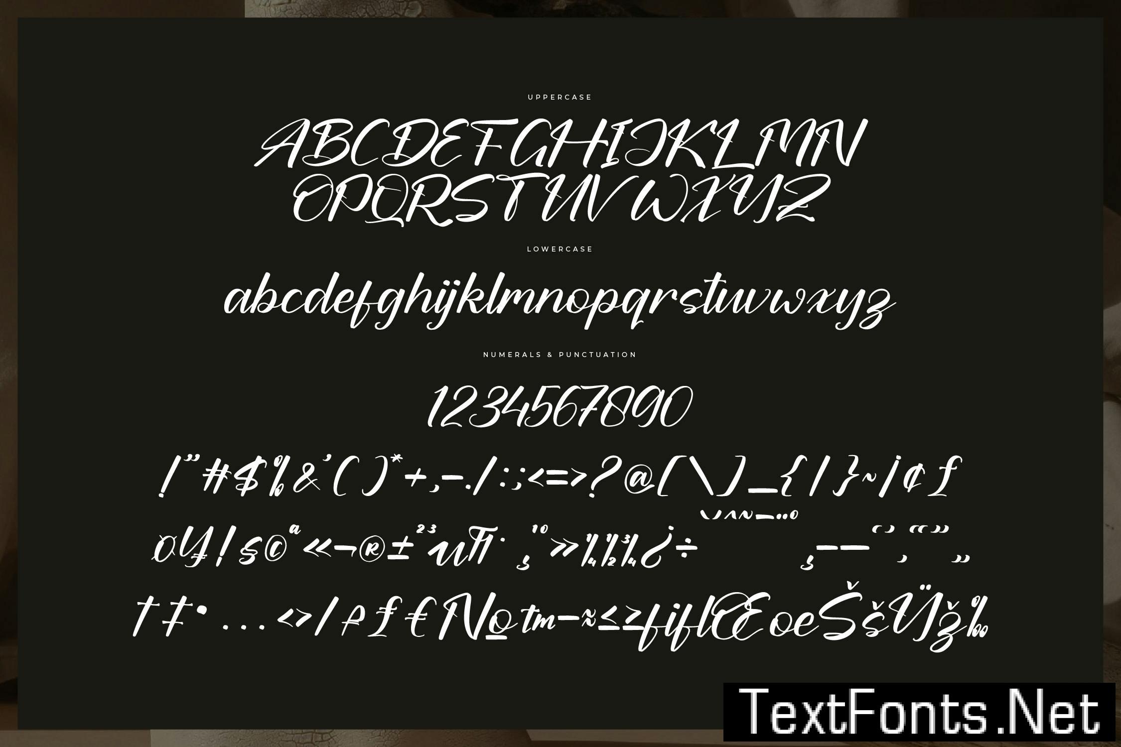 Daltomy Fabiola Modern Bold Script 4R6PCBW