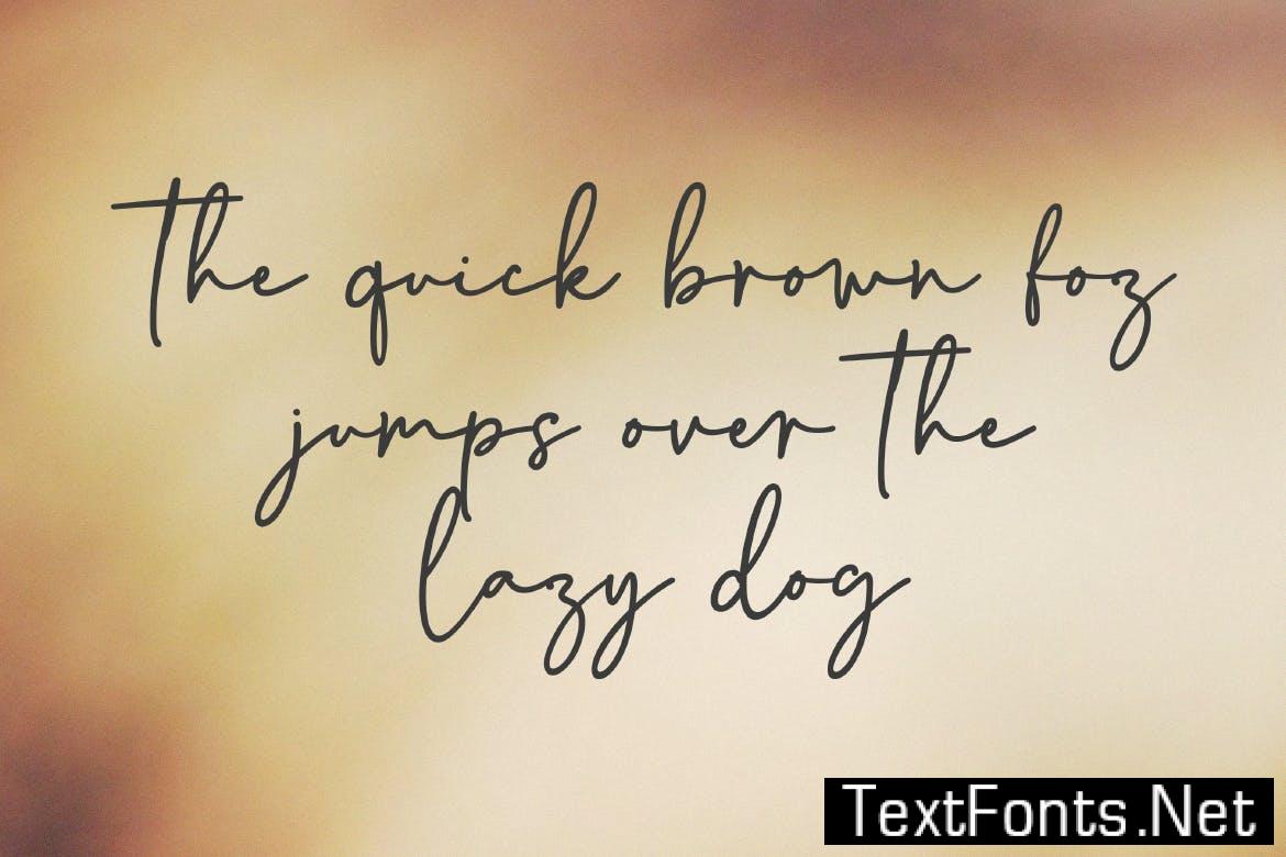 Danilla - Signature Script Font YVPX2XM
