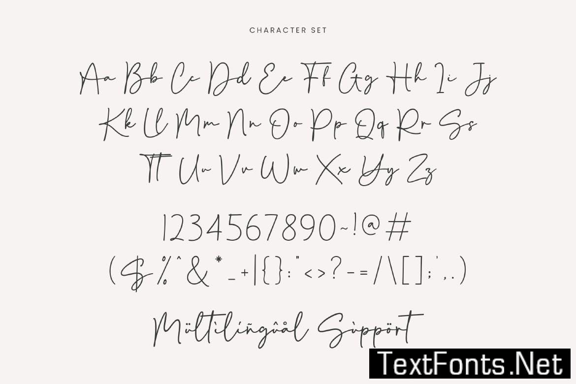 Danilla - Signature Script Font YVPX2XM
