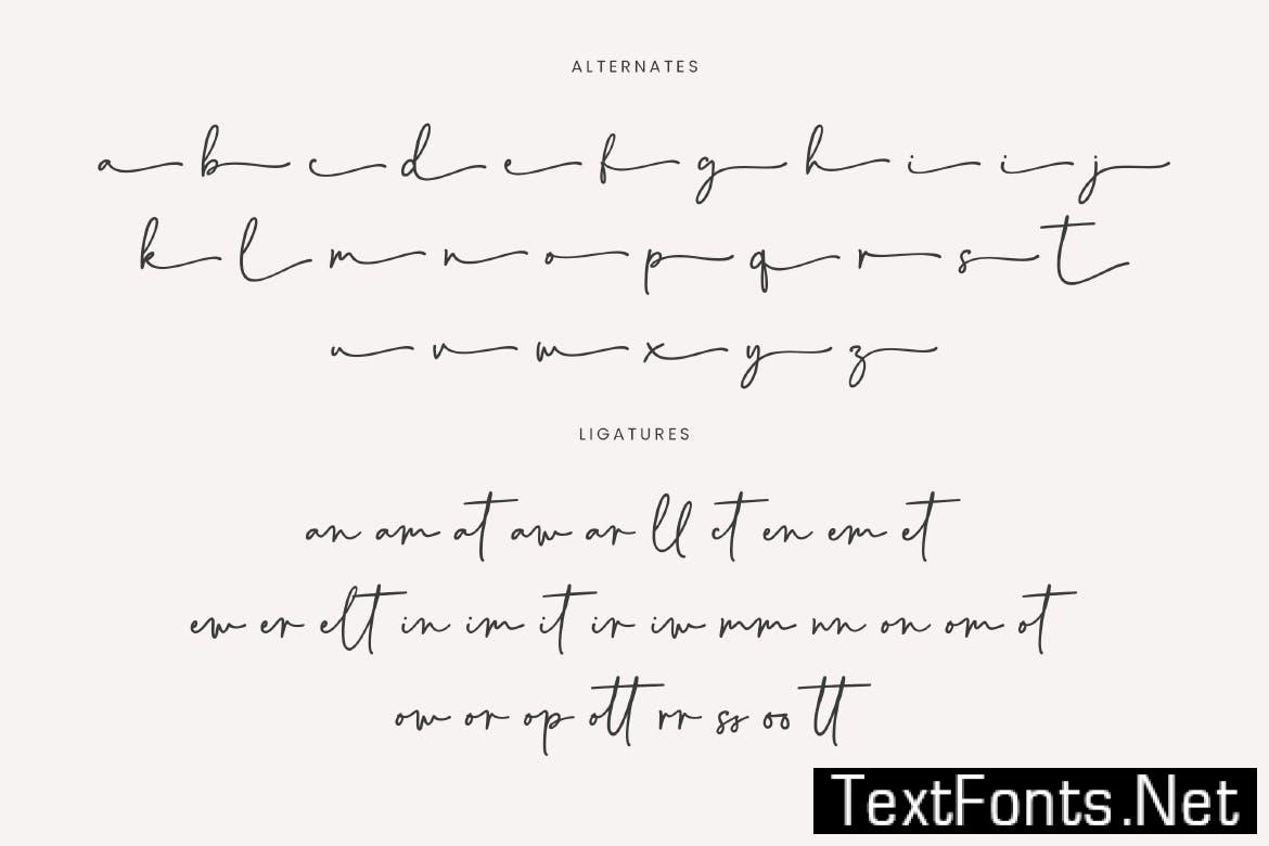 Danilla - Signature Script Font YVPX2XM