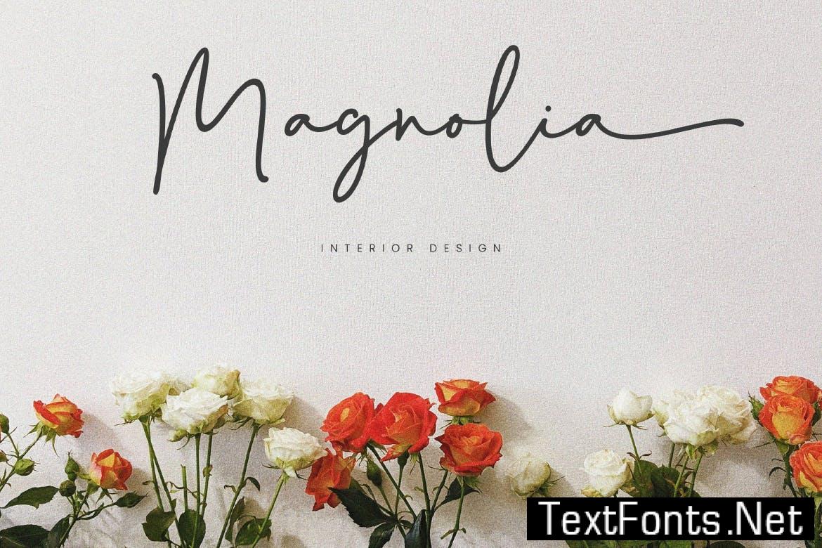 Danilla - Signature Script Font YVPX2XM