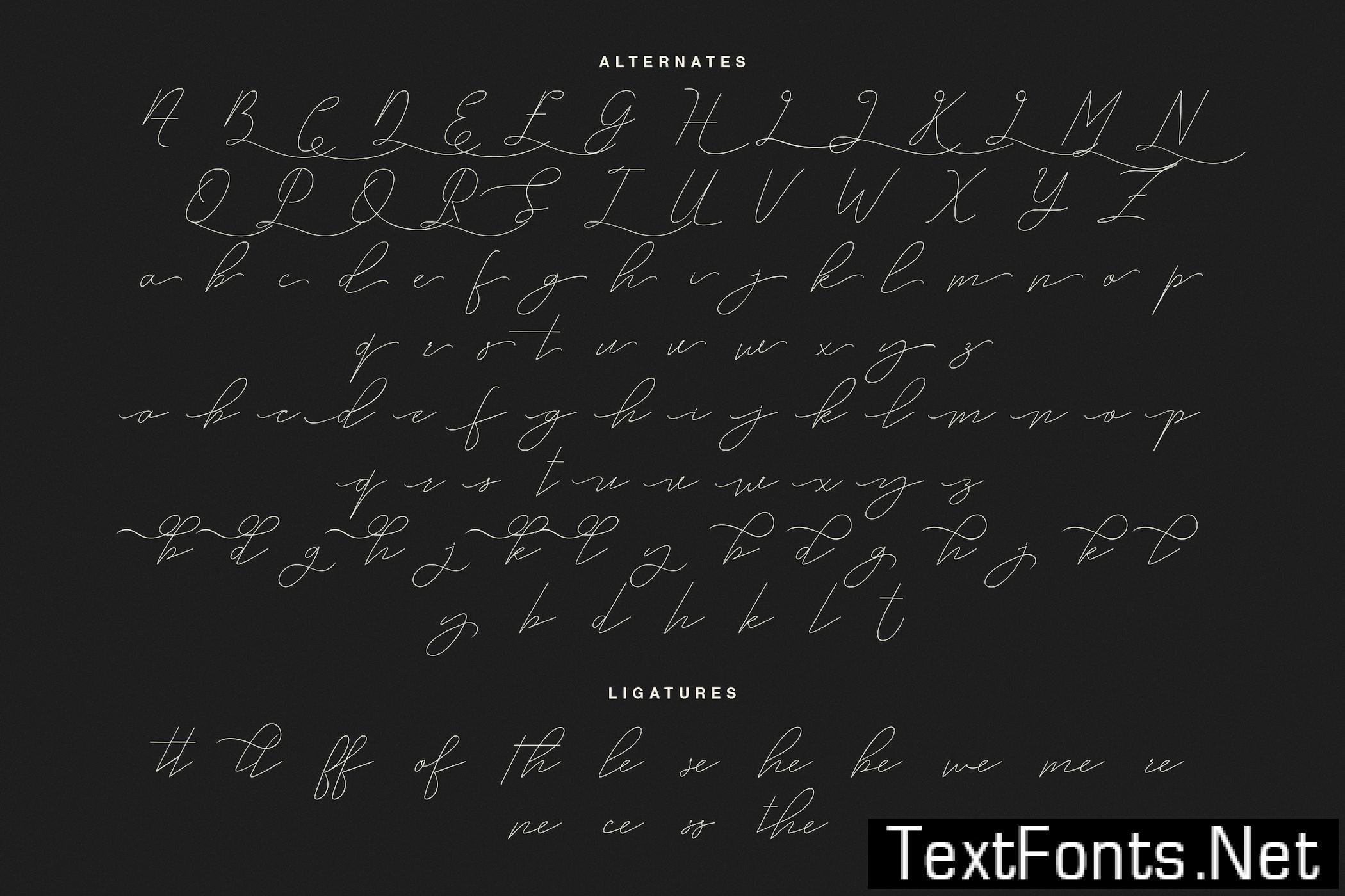 Embarghost - Classic Light Script Font DR7BFQG