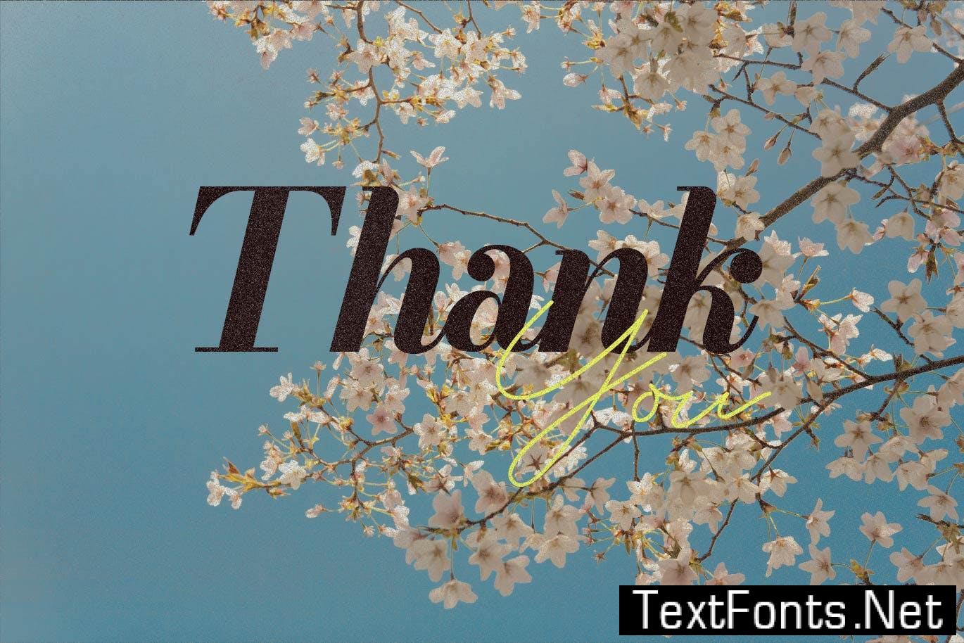 Galliard - Elegant Script Font Duo SSSS369