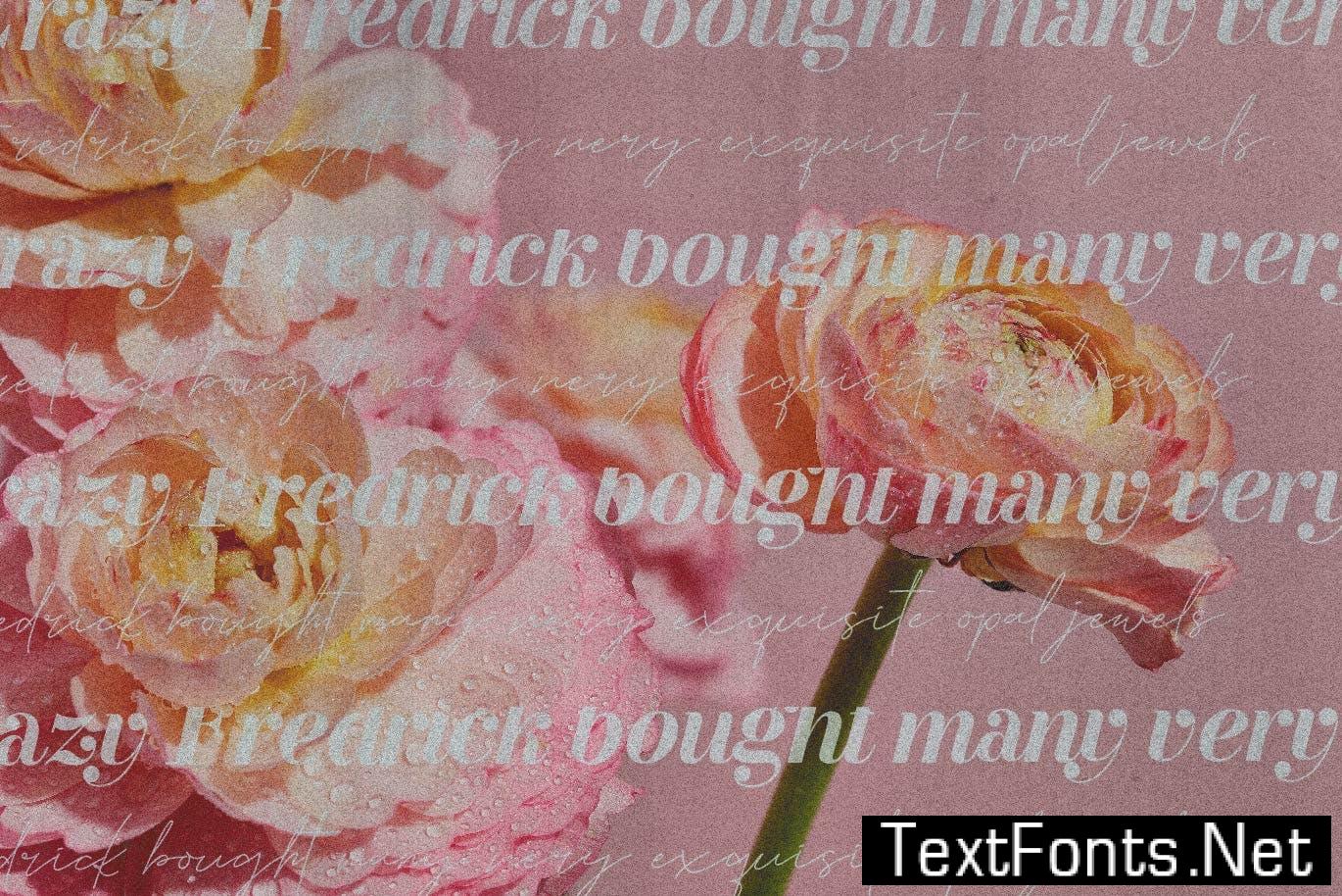 Galliard - Elegant Script Font Duo SSSS369