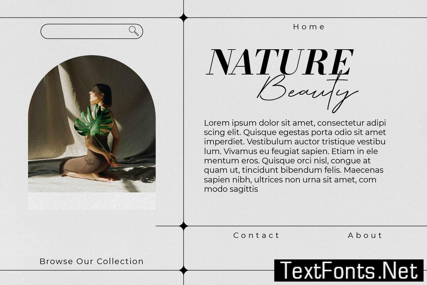 Galliard - Elegant Script Font Duo SSSS369